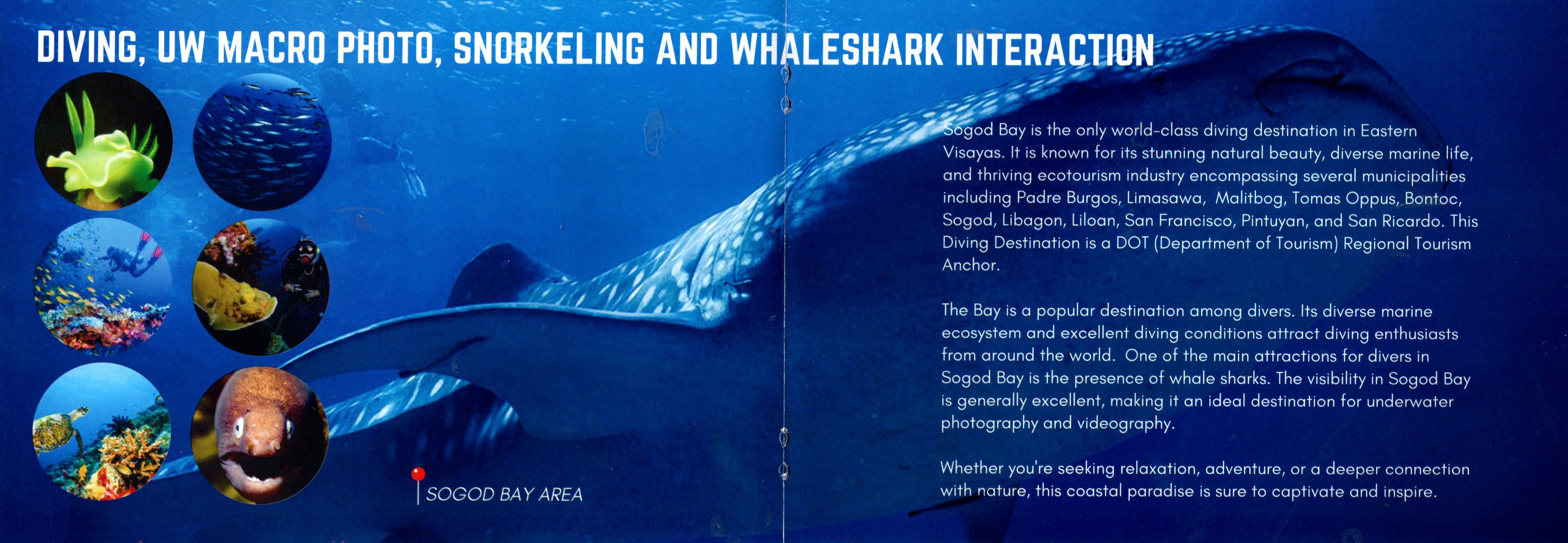 Brochure 7