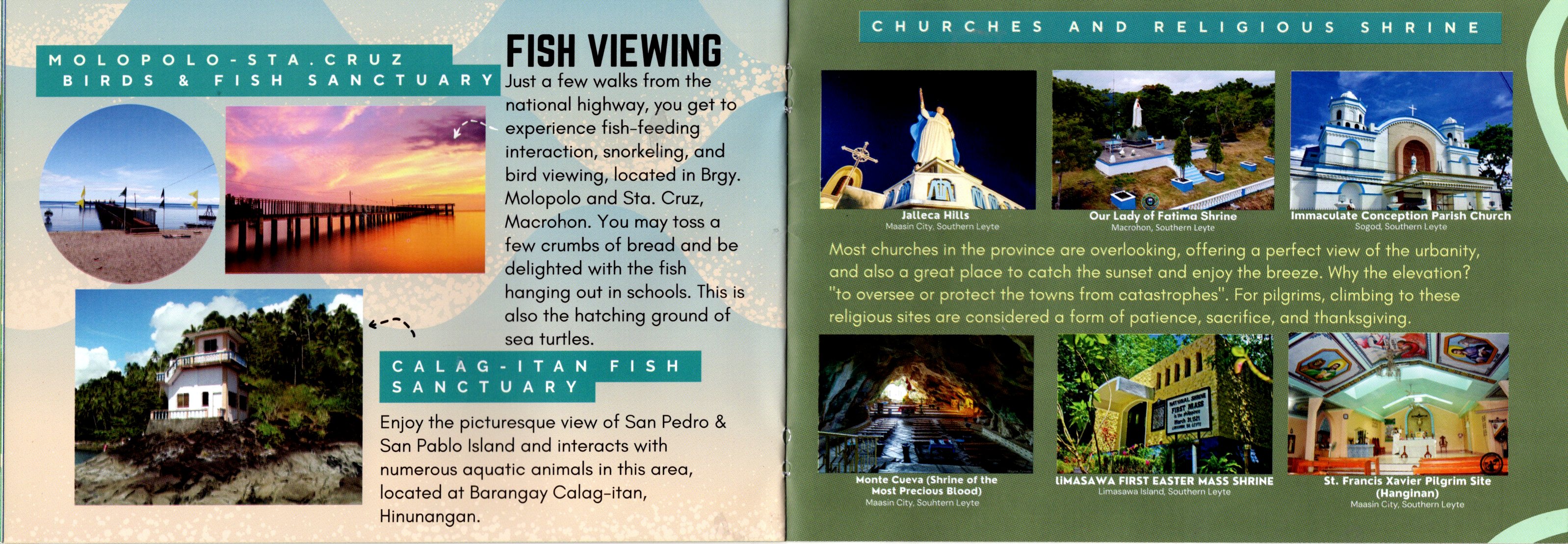 Brochure 9